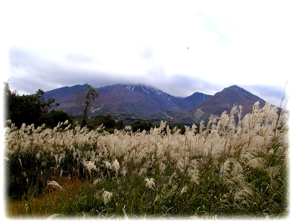 秋深まる妙高山茅景色