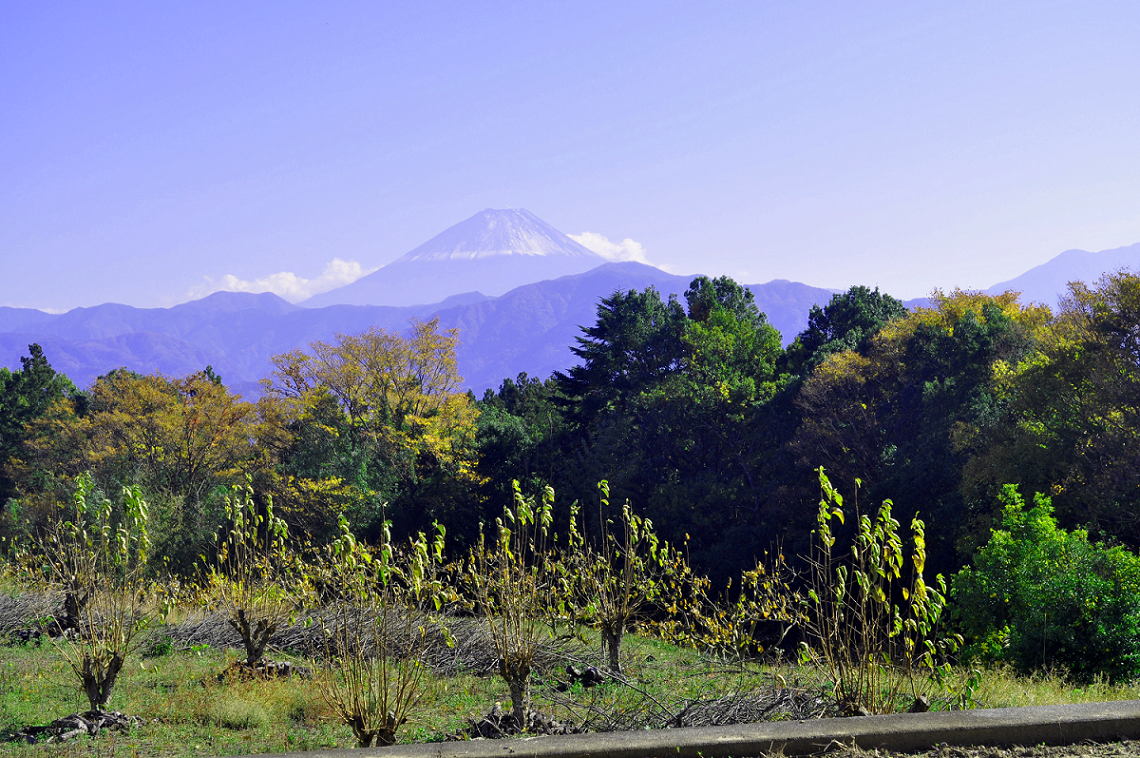 17年11月8日南アルプス市富士山