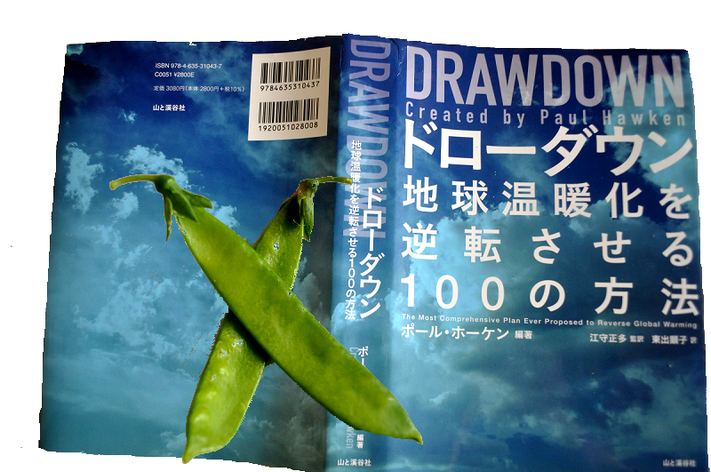 ドローダウンの本