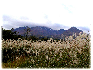 秋深まる妙高山茅景色