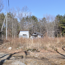 １７年３月３日白州自宅