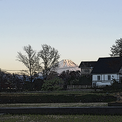 富士山がくっきり見える夕暮れ