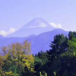 17年11月8日南アルプス市富士山